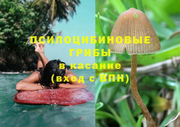 MDMA Premium VHQ Ладушкин